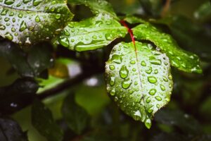 VIO脱毛を冬に行う際の保湿方法は？