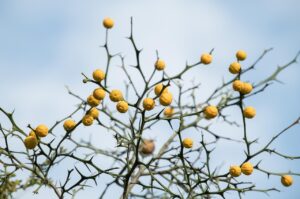 全身脱毛を受ける冬の乾燥ケアはどうすればいいは？