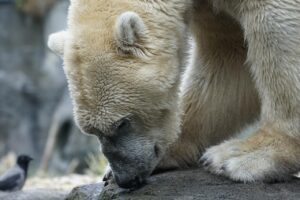 脱毛後の皮膚負担を減らすテクとは？