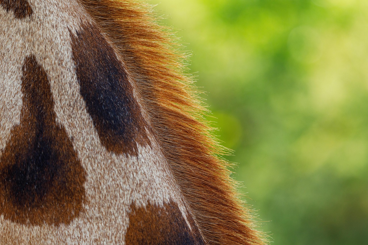 脱毛後の肌ざらつきを解消するためのおすすめケア用品は？