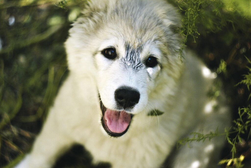 脱毛後の肌荒れを防ぐためのアフターケアが重要な理由は？