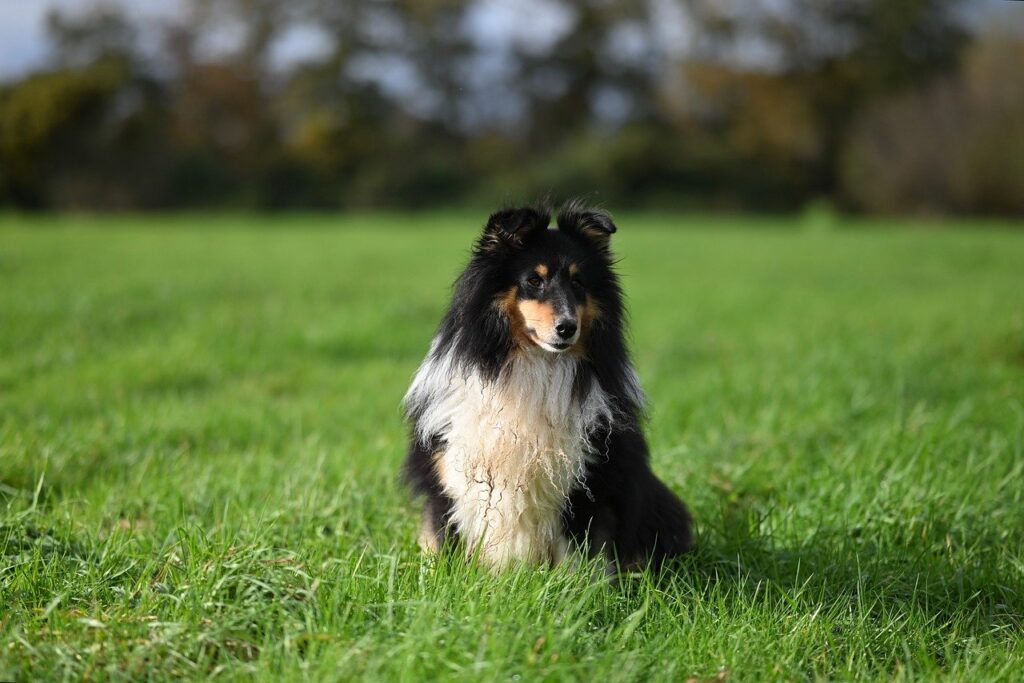 脱毛前の日焼けに関する注意点とは？