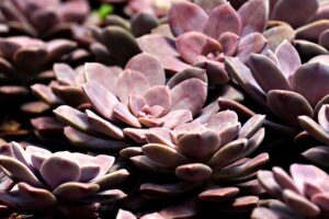 脱毛後の肌荒れを悪化させずに防ぐ方法は？