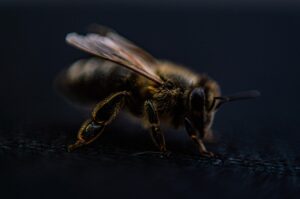 脱毛当日に絶対避けるべきNG行動一覧とは？